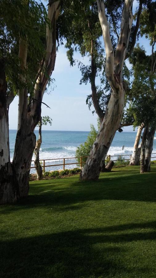 Bahia De La Plata Seafront Lägenhet Estepona Exteriör bild